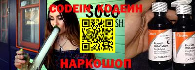 apvp Гатчина